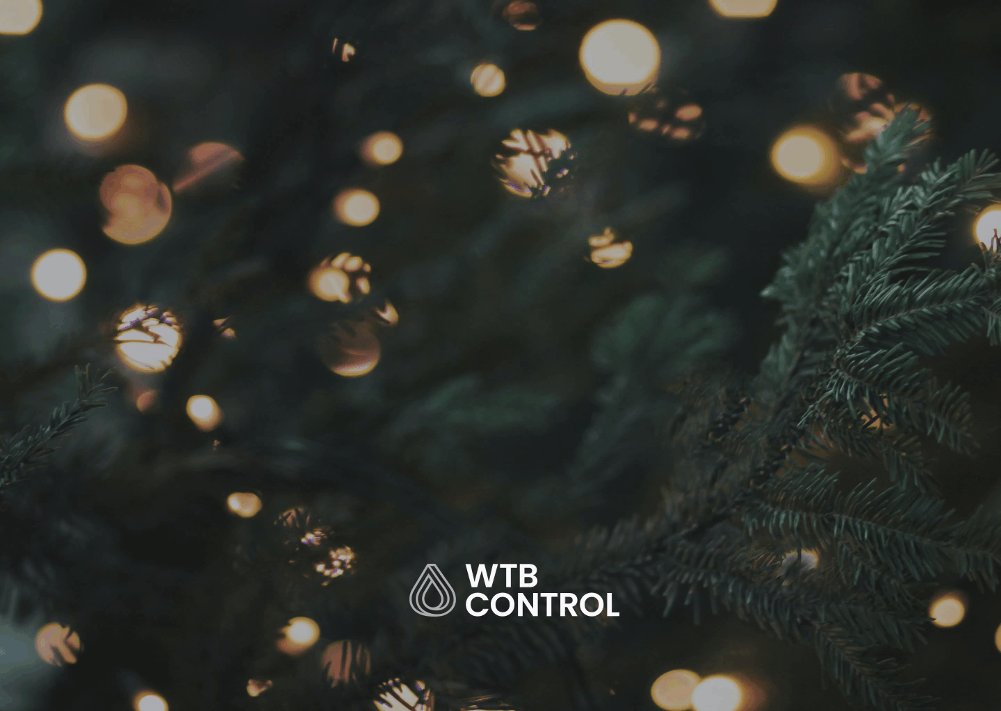Merry Christmas & Happy New Year! – WTB Control